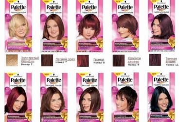 Hair Dye Palette Hair Dye Pallet