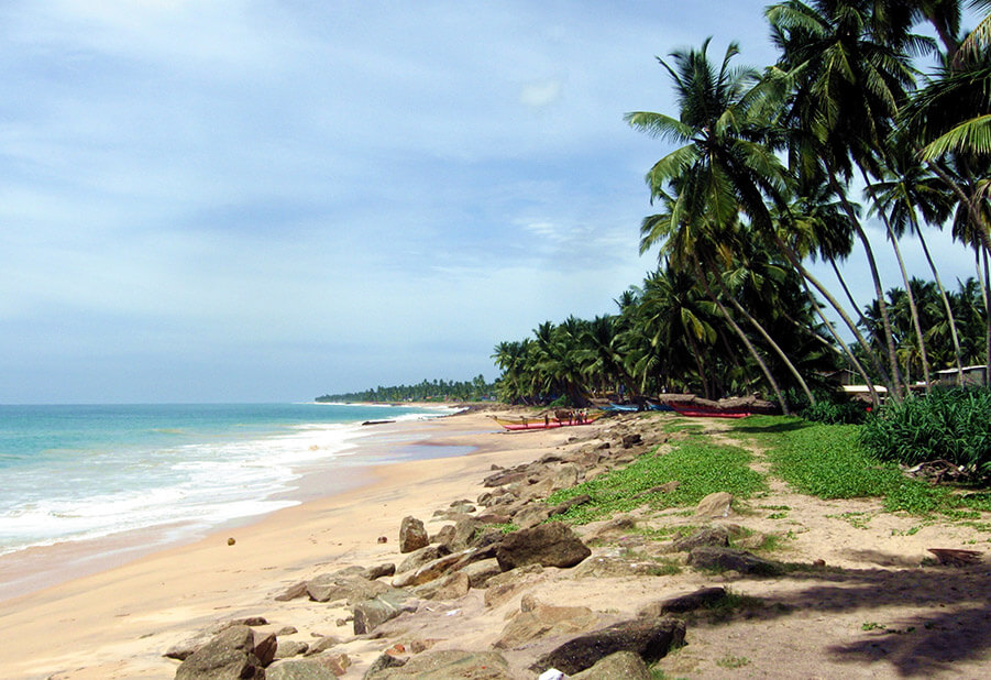 Шри ланка в январе. Шри Ланка в декабре. Пляж Бентота волны. Пляж Бентота Шри Ланка в декабре. Цейлонцы.